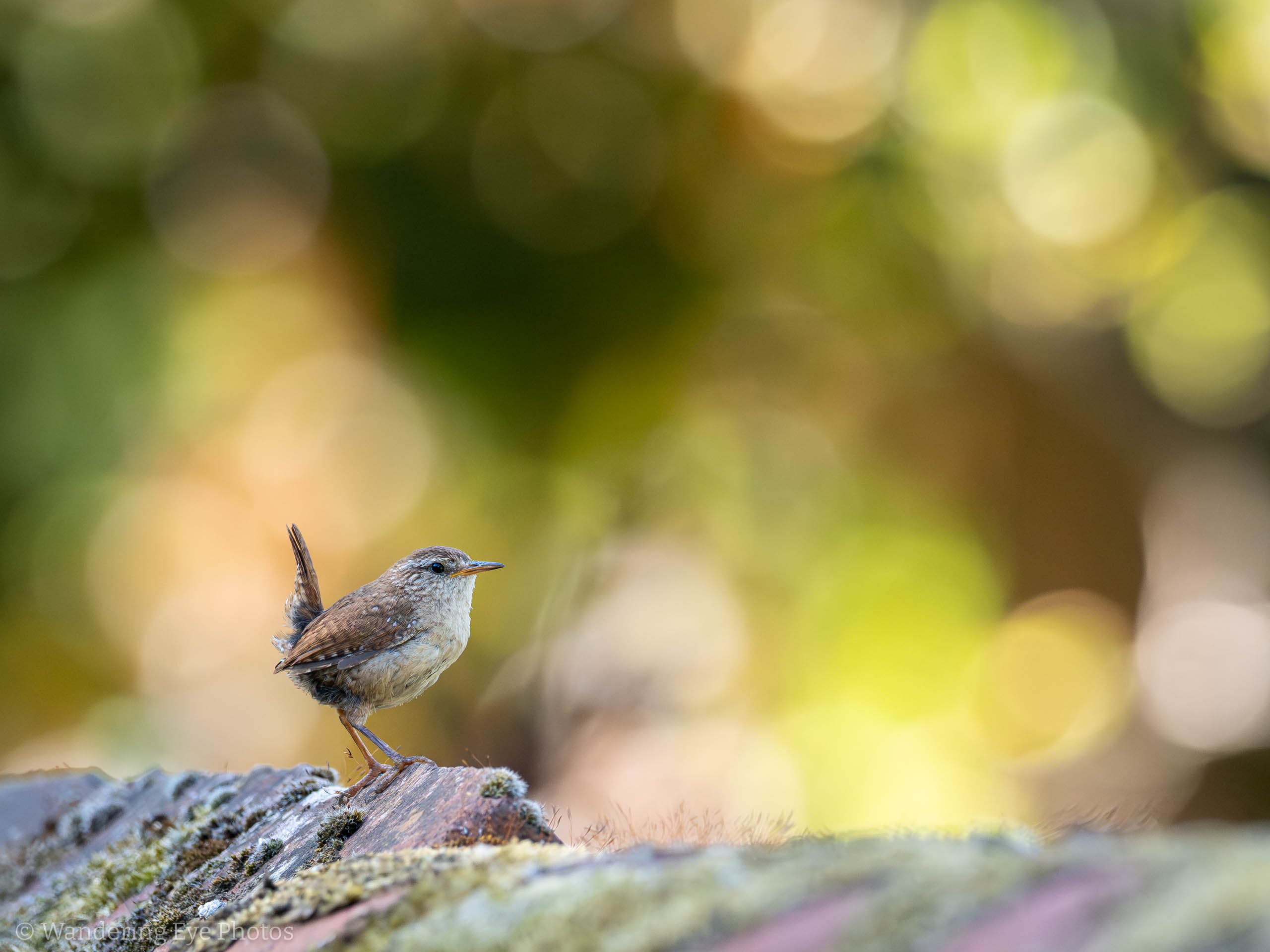 07.10 08.58.59 P7100087